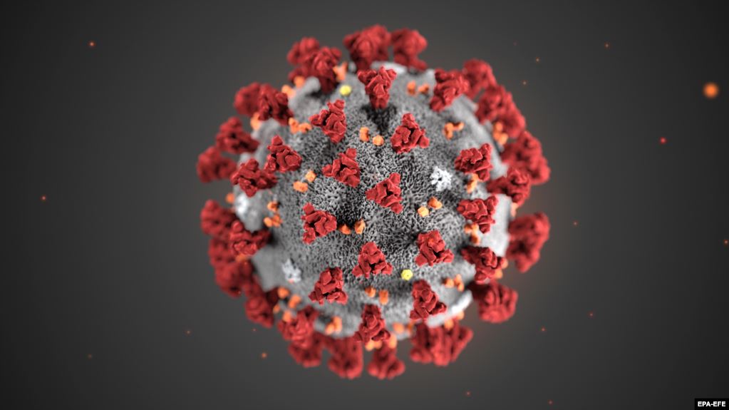 Corona virus